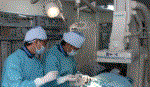 Bệnh động mạch vành cấp có xu hướng gia tăng