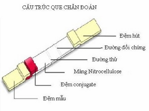 Que thử. Ảnh: husta