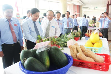 Đại biểu tham quan triển lãm những thành tựu trong sản xuất của nông dân.