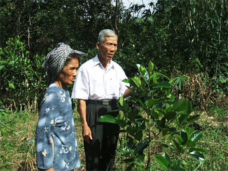 Ông Năm Lình đến thăm một “Khu vườn tình thương” tại ấp Thanh Sơn.