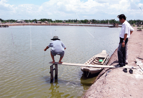 Ảnh chỉ có tính chất minh họa.