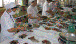 Mức thu một số loại phí, lệ phí thuộc lĩnh vực y, dược