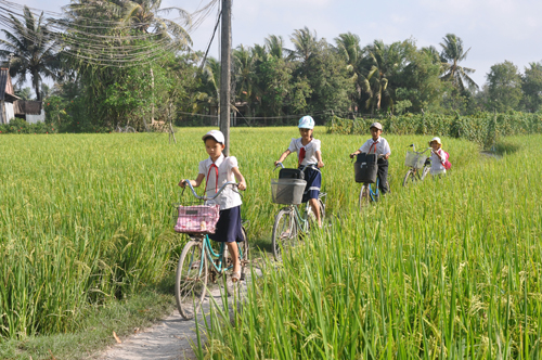 Học sinh tiểu học xã Bình Phục Nhứt đến trường. Ảnh: Hữu Chí