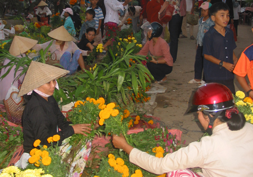 Giá hoa trong cữ chợ rằm tháng Giêng tiếp tục giảm.