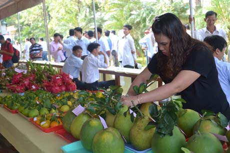 Điệp khúc 