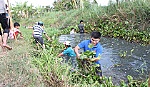 Ra quân ngày chủ nhật xanh