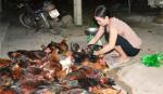 Tăng cường công tác phòng, chống dịch cúm gia cầm