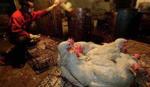 Xuất hiện ca nhiễm H7N9 đầu tiên tại Bắc Kinh (Trung Quốc)