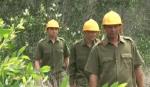 Xã Thạnh Mỹ (Tân Phước): Chủ động ngăn ngừa cháy rừng
