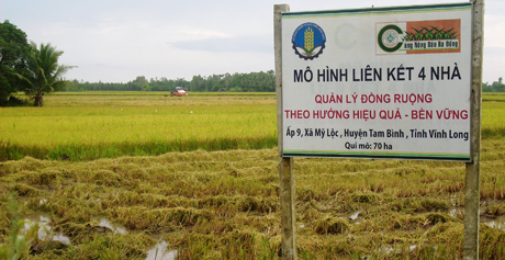 Mô hình  liên kết  
