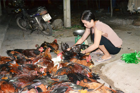 Ảnh minh họa. Ảnh: Vân Anh
