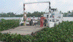 Xã Bình Xuân trên đường đổi mới
