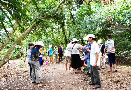 Khách  tham quan  vườn cây ăn trái tại điểm du lịch miệt vườn  Chính Thương, xã Tân Phong.