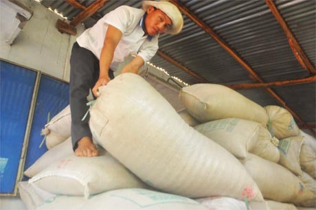 Lúa chất đầy nhà nhưng nông dân không bán được lúa. Trong ảnh: ông Nguyễn Văn Minh, ấp Hậu Quới, xã Hậu Mỹ Bắc B, huyện Cái Bè.