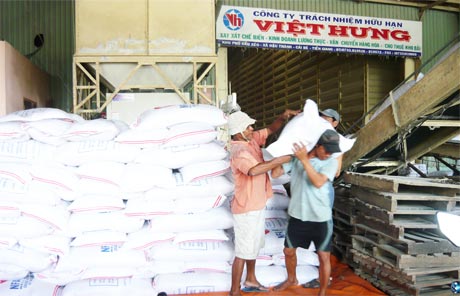 Gạo là mặt hàng xuất khẩu chủ yếu của Tiền Giang (ảnh chụp tại Công ty TNHH Việt Hưng, Cái Bè).