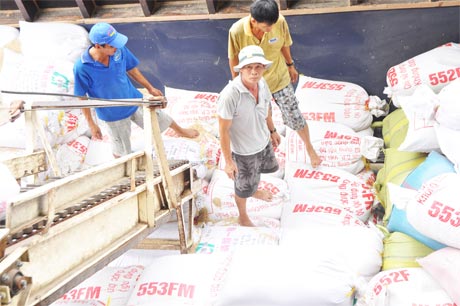 Tình hình thu mua  lúa, gạo tại các doanh nghiệp tại khu vực Bà Đắc (Cái Bè) vẫn diễn ra khá chậm chạp.