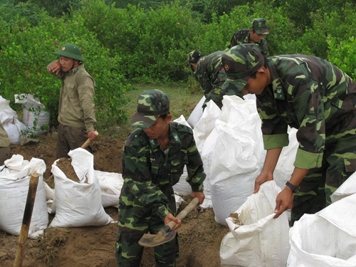 Lực lượng BĐBP gia cố đê biển.