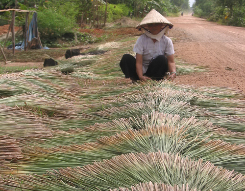 Một cơ sở làm nón bàng. Ảnh: Hữu Chí