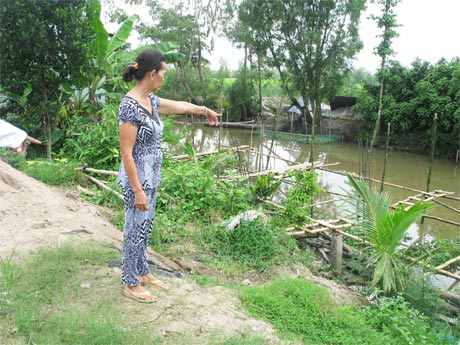 Bà Nguyễn Thị Tám chỉ những trụ cột bê tông mà ông Vũ thuê kobe cắm dưới kinh lấn chiếm hành lang lộ giới. 