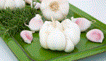 Ăn tỏi có thể giúp giảm nguy cơ mắc ung thư phổi