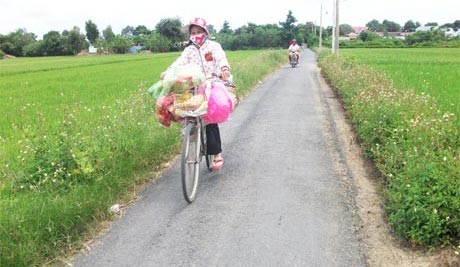 Đường giao thông nông thôn đi qua ấp Gò Lức và Gò Táo được trải nhựa, xe cộ đi lại dễ dàng.