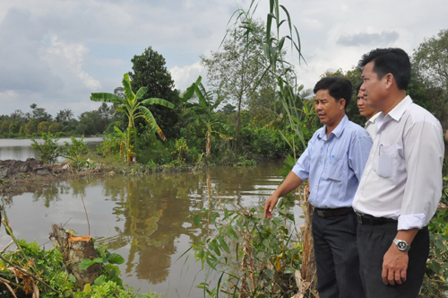 Ông Nguyễn Văn Tú, Phó Chủ tịch UBND huyện Cái Bè (bìa phải)  thị sát tuyến đê bao cần gia cố.