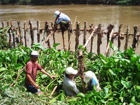 Giao quyền chủ động cho địa phương trong phòng, chống sạt lở hy vọng sẽ hạn chế phần nào tình trạng sạt lở kinh, rạch ở khu vực phía Tây của tỉnh.