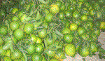 5 dưỡng chất chống cao huyết áp