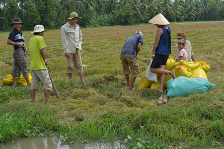 Ảnh minh họa. Ảnh: Như Lam