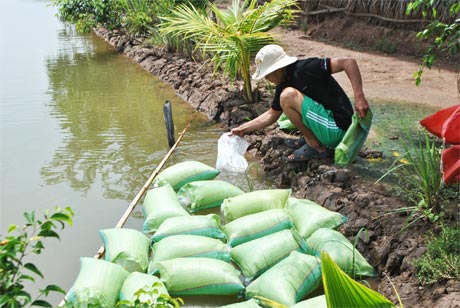 Thả TCX giống tại ấp Phú Hữu, xã Phú Tân.