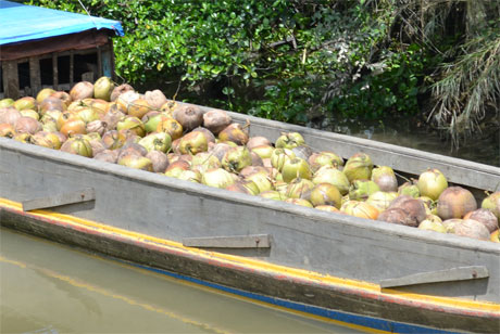 Ảnh minh họa. Ảnh: Vân Anh