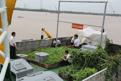 CBCS tranh thủ tăng gia trên boong tàu.