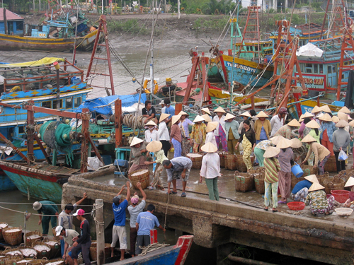 Cảng cá Vàm Láng ở Tiền Giang. Ảnh minh họa: Hữu Chí