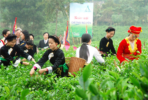 Ảnh: UBND tỉnh Thái Nguyên