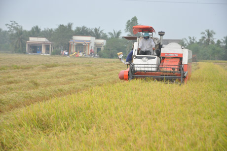 Các nhà khoa học yêu cầu phải tổ chức lại sản xuất nông nghiệp theo hướng hiện đại.