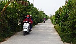 Xã Tam Bình (Cai Lậy): Phát triển tốt giao thông nông thôn