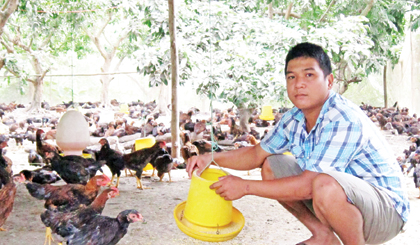 Anh Trần Quốc Bảo bên đàn gà 2 ngàn con cho dịp Tết.