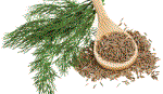 Thức uống giảm đau dạ dày
