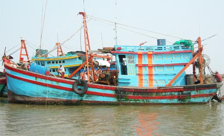 Ngành Thủy sản ngày càng lớn mạnh.