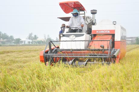 Đưa cơ giới hóa vào sản xuất là một trong những nội dung trong Kế hoạch hành động về tái cơ cấu ngành Nông nghiệp.