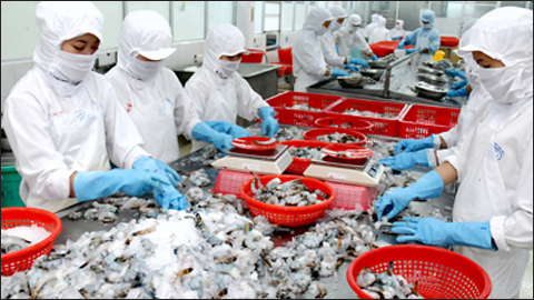 Nguồn nguyên liệu thủy sản cho chế biến xuất khẩu chỉ đạt từ 70-75% nhu cầu hệ thống các nhà máy chế biến (Ảnh: KT)