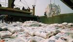 Rice exports to Philippines sharply increase