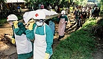 Virus Ebola - 10 điều cần biết