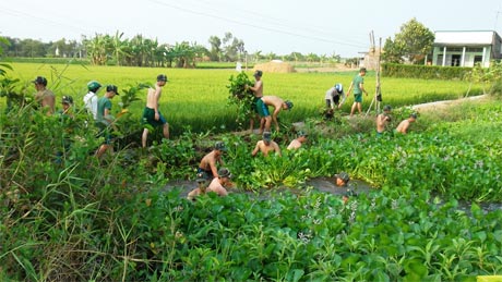 Lực lượng dân quân cùng Đoàn Thanh niên và người dân dọn lục bình đảm bảo cảnh quan sạch đẹp.