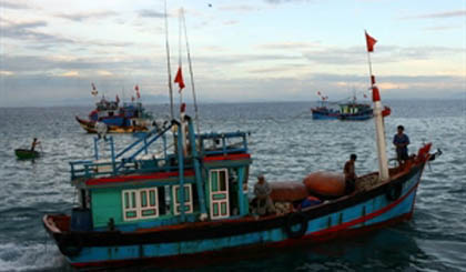 Boats of Ly Son fishmen (photo: VNA)