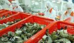 Viet Nam gains record trade surplus with Australia