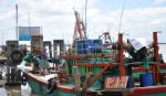 BIDV to offer VND15 trillion loans to support fishery sector