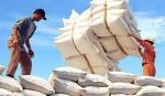 Viet Nam, Philippines ink agreement on special policy to rice