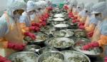 Vietnamese seafood firms to expand market to Australia