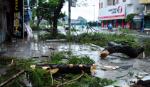 Storm Kalmaegi causes loss of VND20 billion to northern province